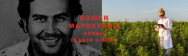 амф Осташков