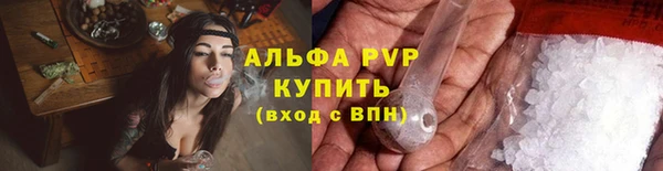 амф Осташков