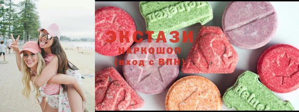 шишки Няндома