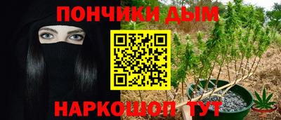 меф Гатчина